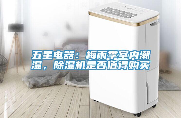 五星電器：梅雨季室內潮濕，小黄片软件免费下载是否值得購買