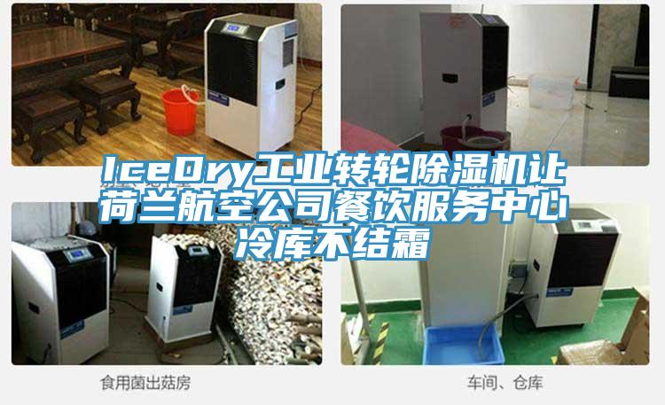 IceDry工業轉輪小黄片软件免费下载讓荷蘭航空公司餐飲服務中心冷庫不結霜