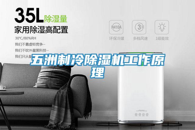 五洲製冷小黄片软件免费下载工作原理