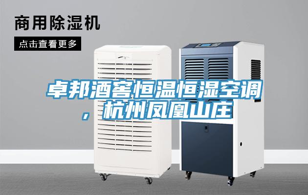 卓邦酒窖恒溫恒濕空調，杭州鳳凰山莊