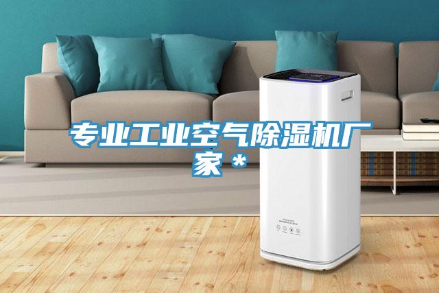 專業工業空氣小黄片软件免费下载廠家＊