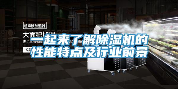 一起來了解小黄片软件免费下载的性能特點及行業前景