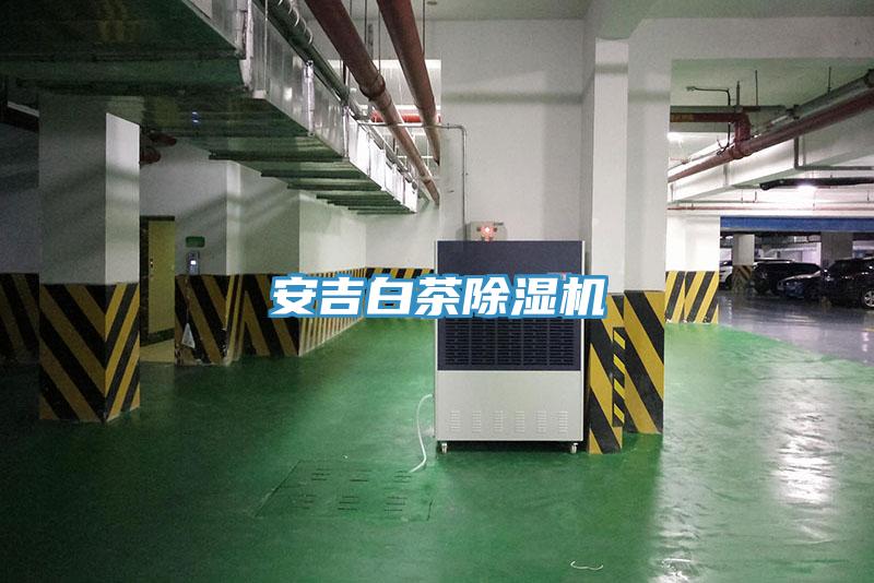 安吉白茶小黄片软件免费下载