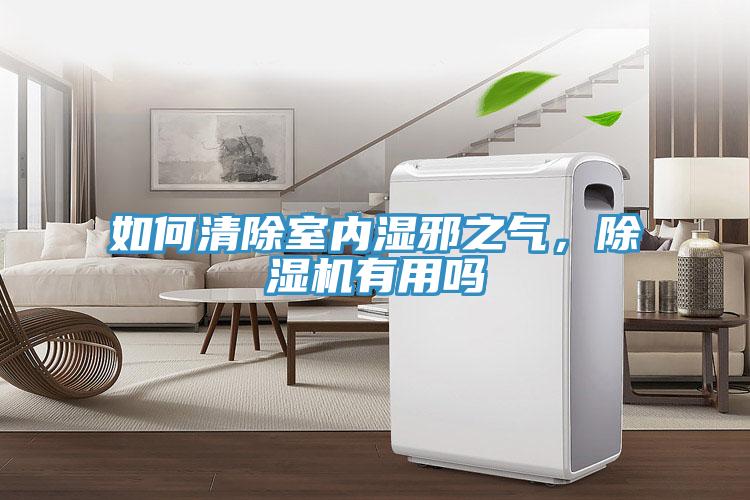 如何清除室內濕邪之氣，小黄片软件免费下载有用嗎