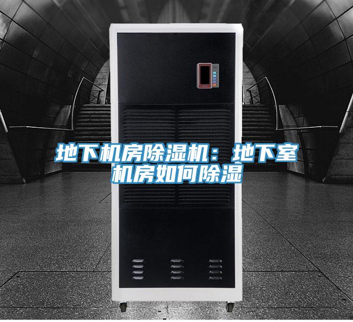 地下機房小黄片软件免费下载：地下室機房如何除濕