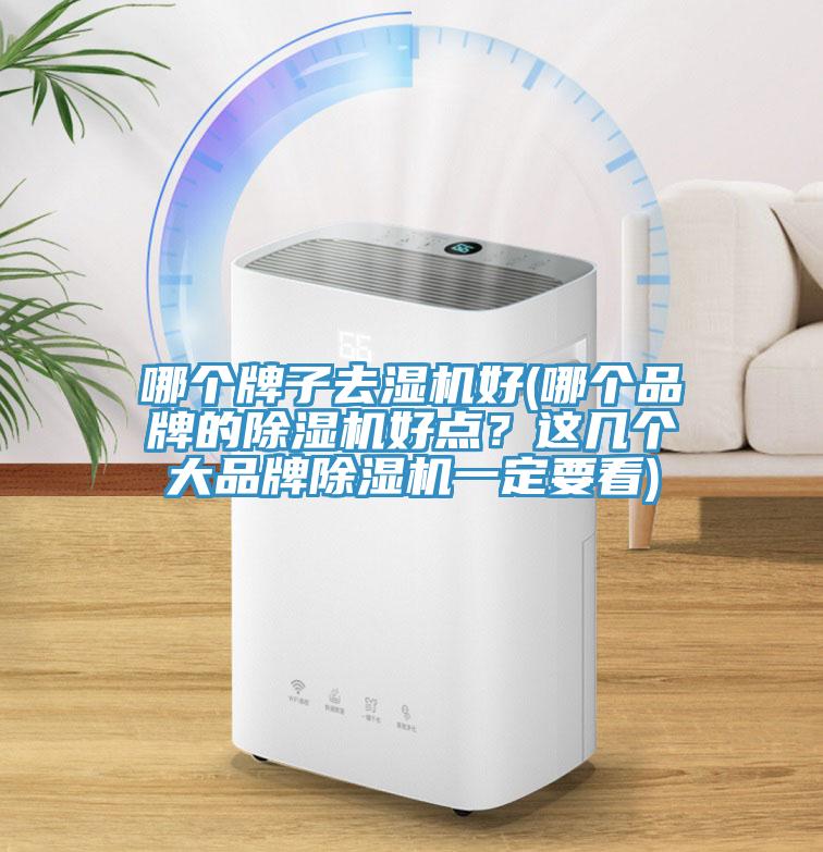 哪個牌子去濕機好(哪個品牌的小黄片软件免费下载好點？這幾個大品牌小黄片软件免费下载一定要看)