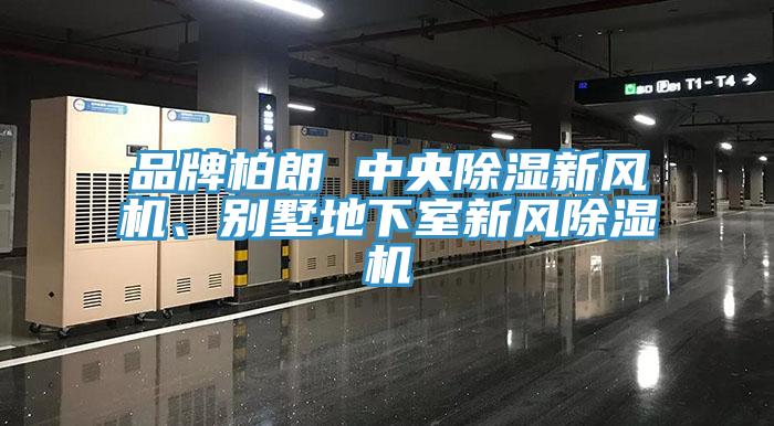 品牌柏朗 中央除濕新風機、別墅地下室新風小黄片软件免费下载