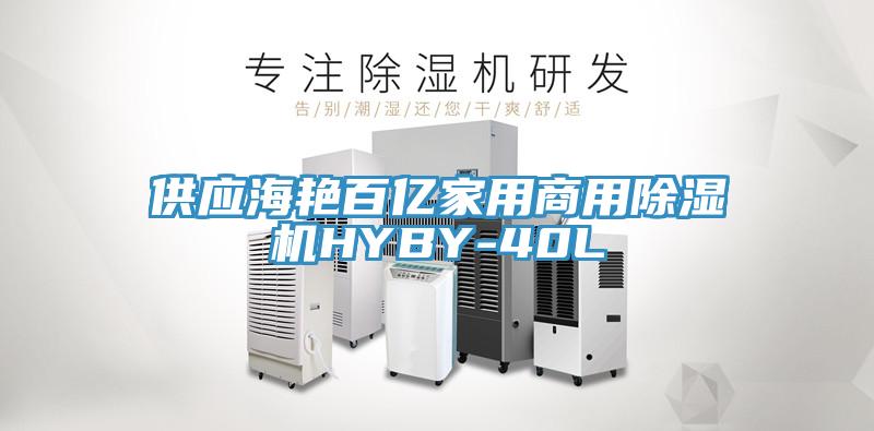 供應海豔百億家用商用小黄片软件免费下载HYBY-40L