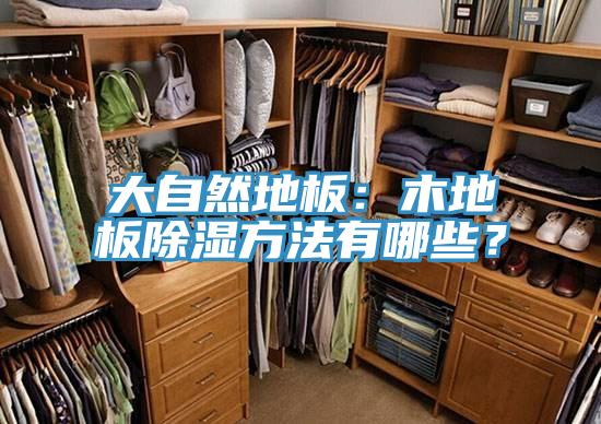 大自然地板：木地板除濕方法有哪些？