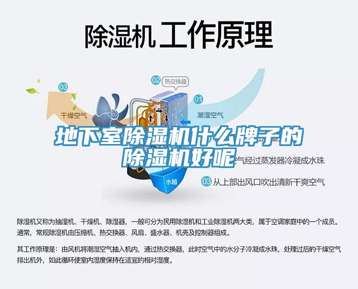 地下室小黄片软件免费下载什麽牌子的小黄片软件免费下载好呢