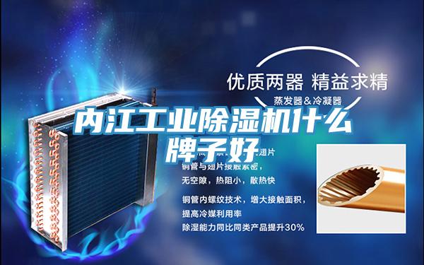 內江工業小黄片软件免费下载什麽牌子好