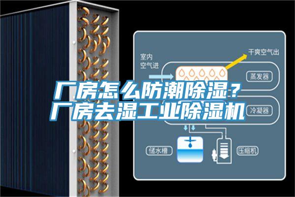 廠房怎麽防潮除濕？廠房去濕工業小黄片软件免费下载