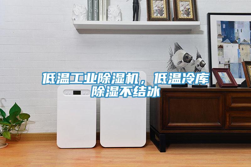 低溫工業小黄片软件免费下载，低溫冷庫除濕不結冰