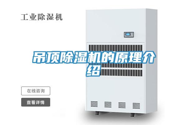 吊頂小黄片软件免费下载的原理介紹