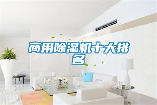 商用小黄片软件免费下载十大排名