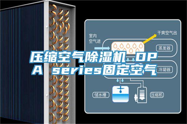 壓縮空氣小黄片软件免费下载 DPA series固定空氣