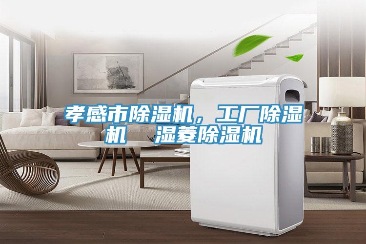 孝感市小黄片软件免费下载，工廠小黄片软件免费下载  濕菱小黄片软件免费下载