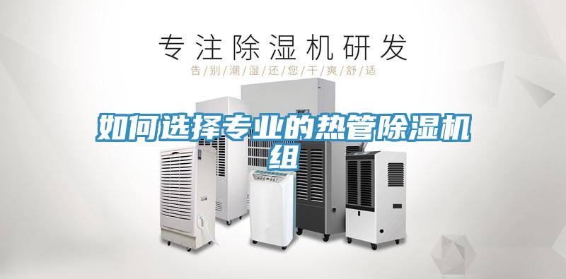 如何選擇專業的熱管小黄片软件免费下载組