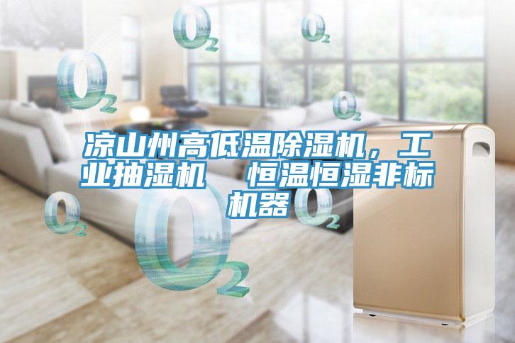 涼山州高低溫小黄片软件免费下载，工業抽濕機  恒溫恒濕非標機器