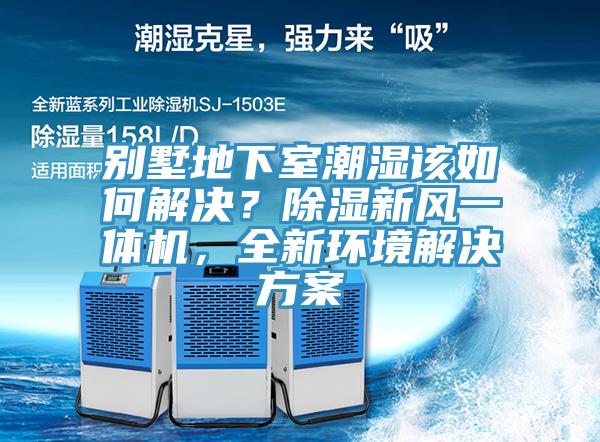 別墅地下室潮濕該如何解決？除濕新風一體機，全新環境解決方案