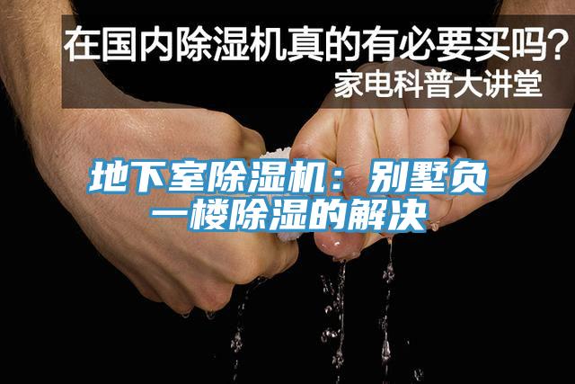 地下室小黄片软件免费下载：別墅負一樓除濕的解決