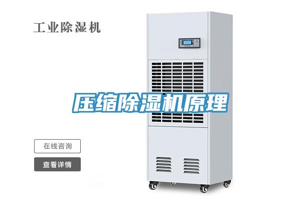 壓縮小黄片软件免费下载原理