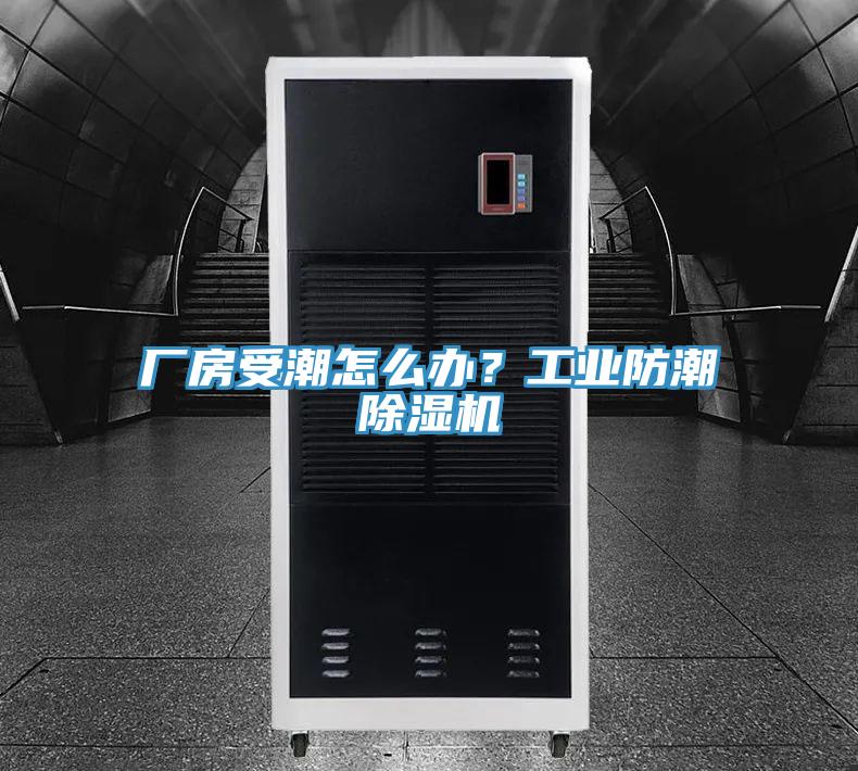 廠房受潮怎麽辦？工業防潮小黄片软件免费下载