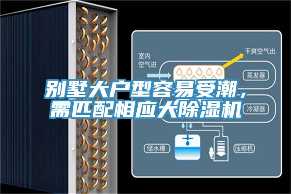 別墅大戶型容易受潮，需匹配相應大小黄片软件免费下载
