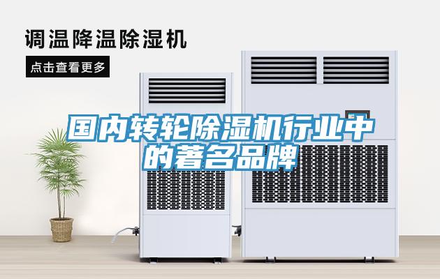 國內轉輪小黄片软件免费下载行業中的著名品牌