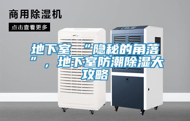 地下室≠“隱秘的角落”，地下室防潮除濕大攻略
