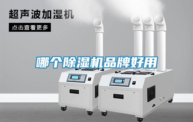 哪個小黄片软件免费下载品牌好用