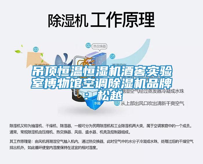 吊頂恒溫恒濕機酒窖實驗室博物館空調小黄片软件免费下载品牌：鬆越