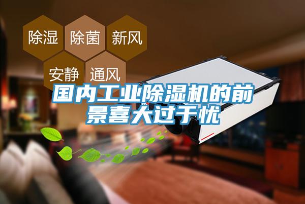 國內工業小黄片软件免费下载的前景喜大過於憂