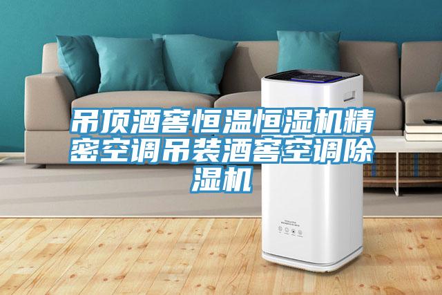 吊頂酒窖恒溫恒濕機精密空調吊裝酒窖空調小黄片软件免费下载