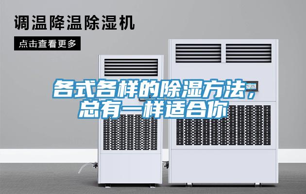 各式各樣的除濕方法，總有一樣適合你