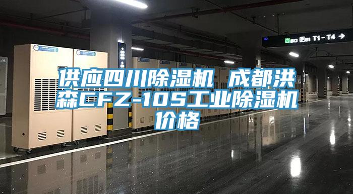供應四川小黄片软件免费下载 成都洪森CFZ-10S工業小黄片软件免费下载價格