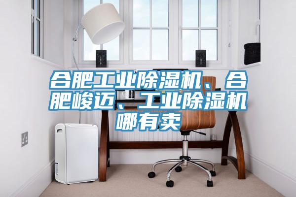 合肥工業小黄片软件免费下载、合肥峻邁、工業小黄片软件免费下载哪有賣