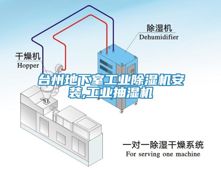 台州地下室工業小黄片软件免费下载安裝,工業抽濕機