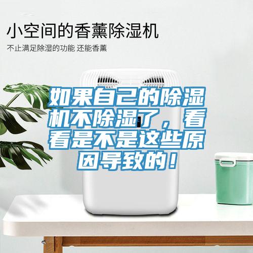 如果自己的小黄片软件免费下载不除濕了，看看是不是這些原因導致的！