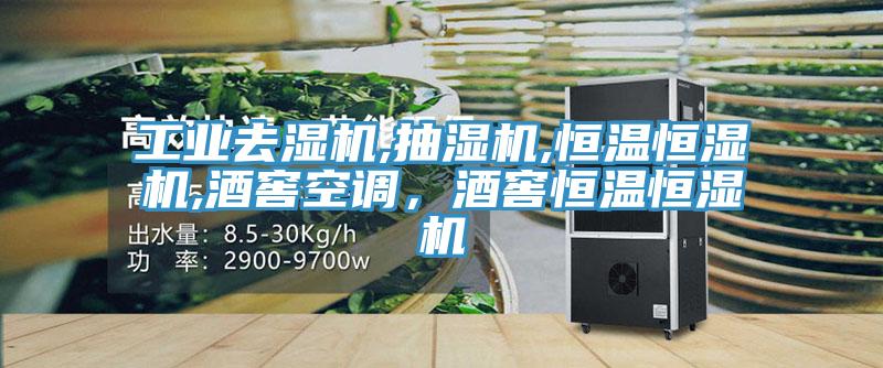 工業去濕機,抽濕機,恒溫恒濕機,酒窖空調，酒窖恒溫恒濕機