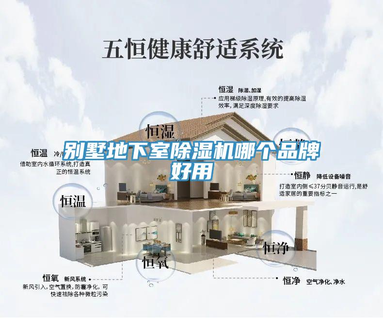 別墅地下室小黄片软件免费下载哪個品牌好用