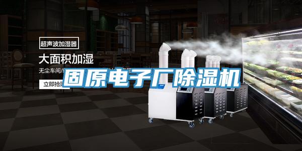 固原電子廠小黄片软件免费下载