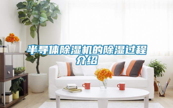 半導體小黄片软件免费下载的除濕過程介紹