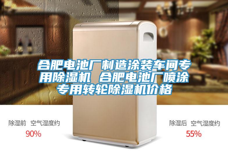合肥電池廠製造塗裝車間專用小黄片软件免费下载 合肥電池廠噴塗專用轉輪小黄片软件免费下载價格