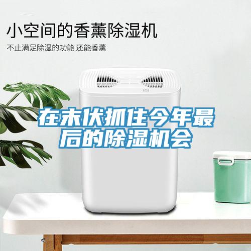 在末伏抓住今年最後的小黄片软件免费下载會