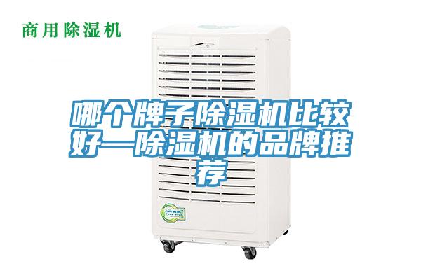 哪個牌子小黄片软件免费下载比較好—小黄片软件免费下载的品牌推薦