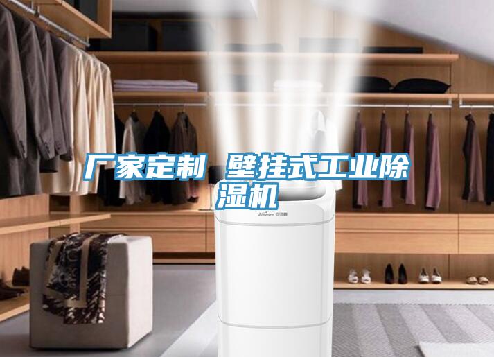 廠家定製 壁掛式工業小黄片软件免费下载
