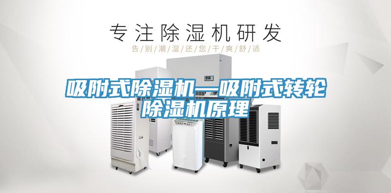 吸附式小黄片软件免费下载—吸附式轉輪小黄片软件免费下载原理