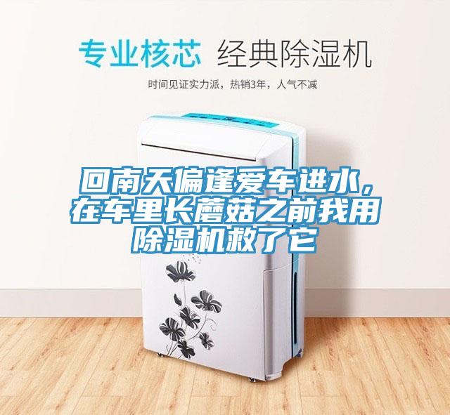 回南天偏逢愛車進水，在車裏長蘑菇之前我用小黄片软件免费下载救了它