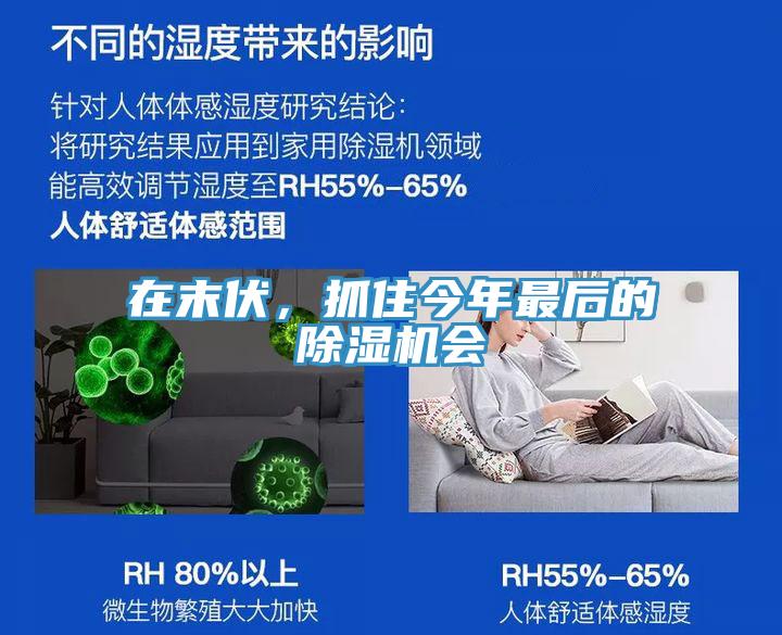 在末伏，抓住今年最後的小黄片软件免费下载會